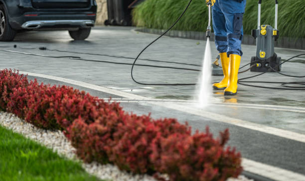 Best Solar Panel Cleaning  in Cresson, TX